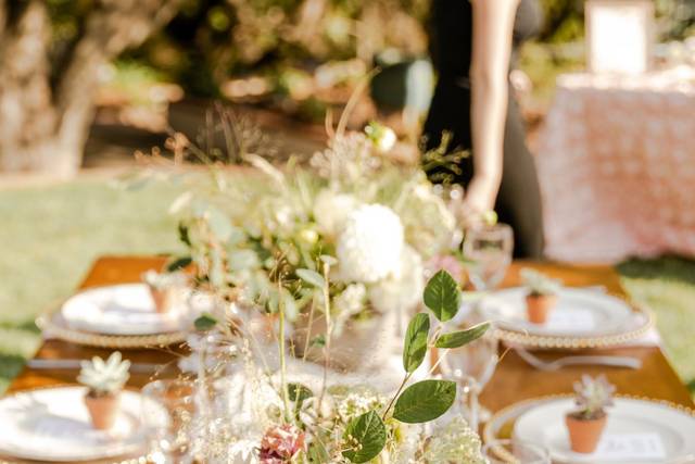 Backyard wedding