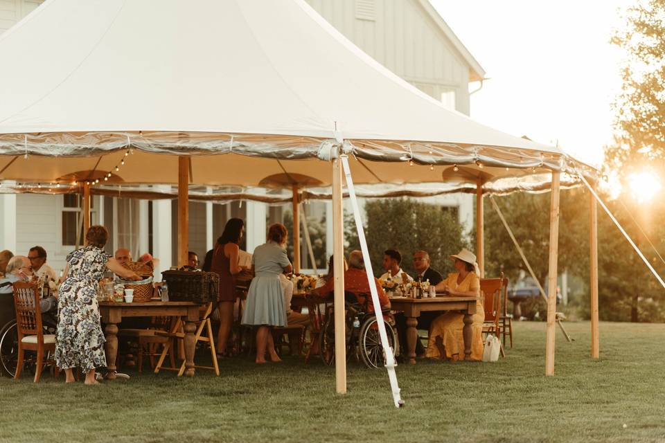 Backyard Wedding