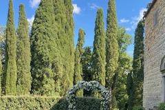 Outdoor ceremony