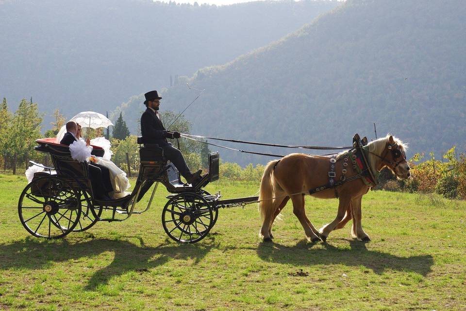 Horsedrawn carriage