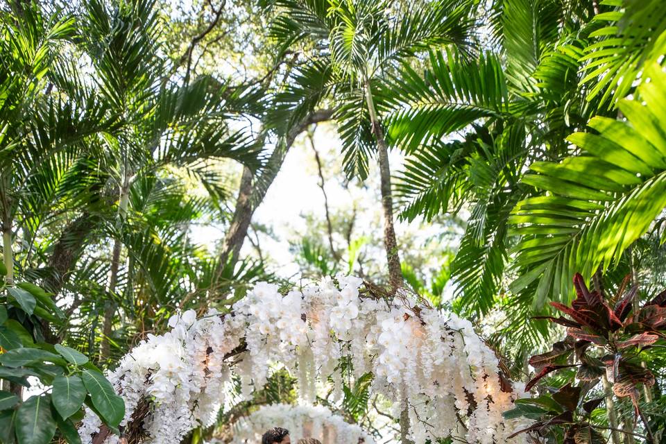Living Sculpture Sanctuary