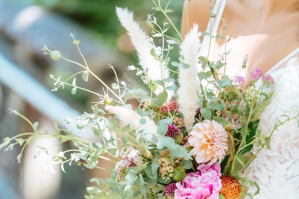 Micro Wedding at the PB Zoo