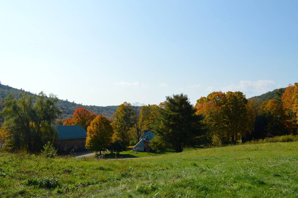 View from the Apple Orchard