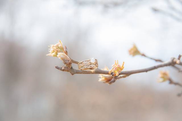Early spring weddings