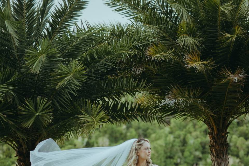 Beautiful Bride