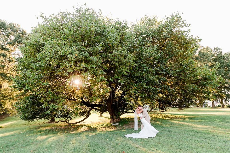 The Oaks at Salem