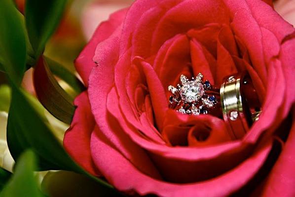 Almasi Hope Photography
