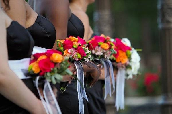 Almasi Hope Photography