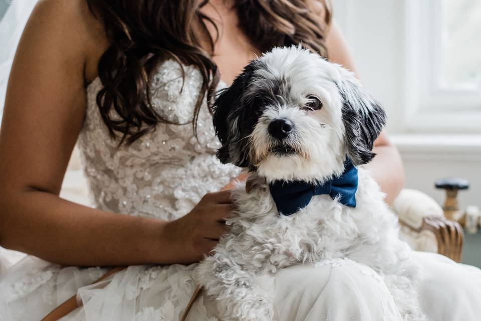 Bride | Forest Heart Photography