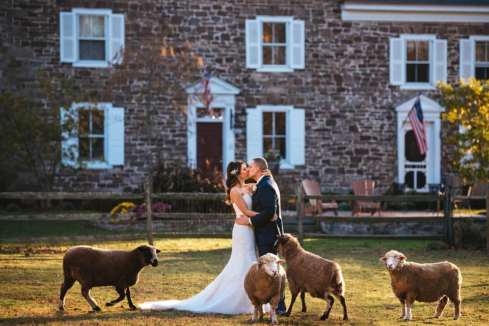 Adventure Wedding Photographer