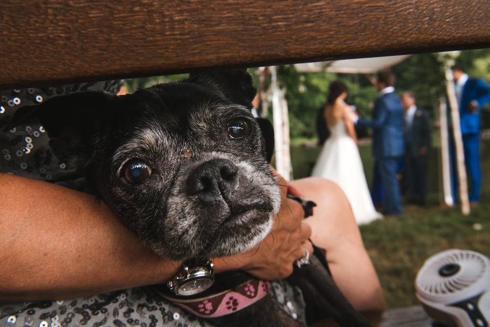 Adventure Wedding Photographer