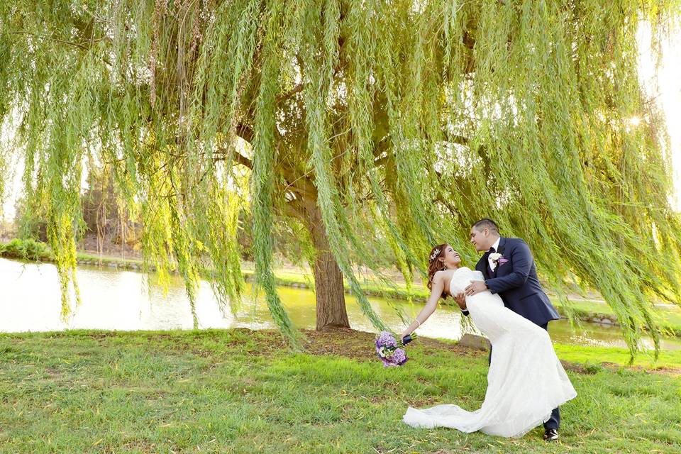 Couple and Willow tree