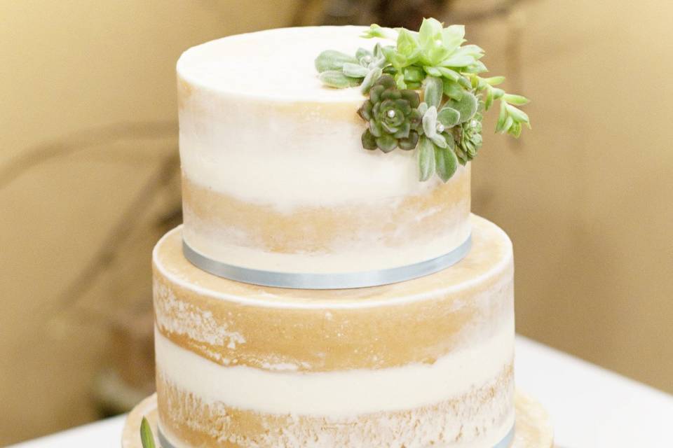 Three tier naked cake with succulents