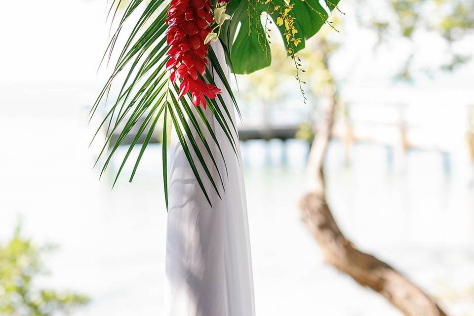 Island Blooms
