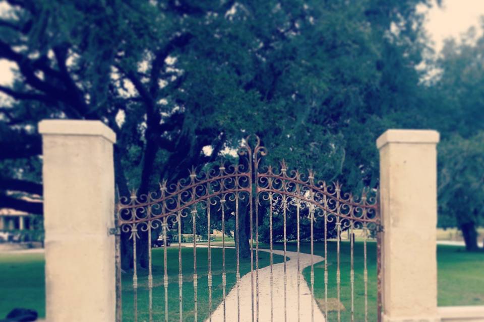 Beautiful gate