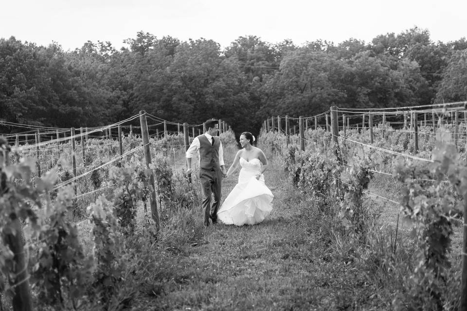 Black & White vineyard walk