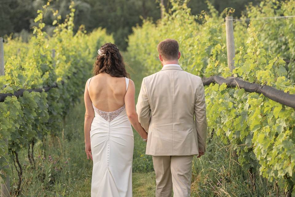 Vineyard