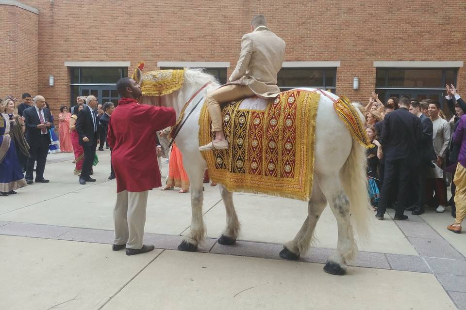 Indian wedding under saddle