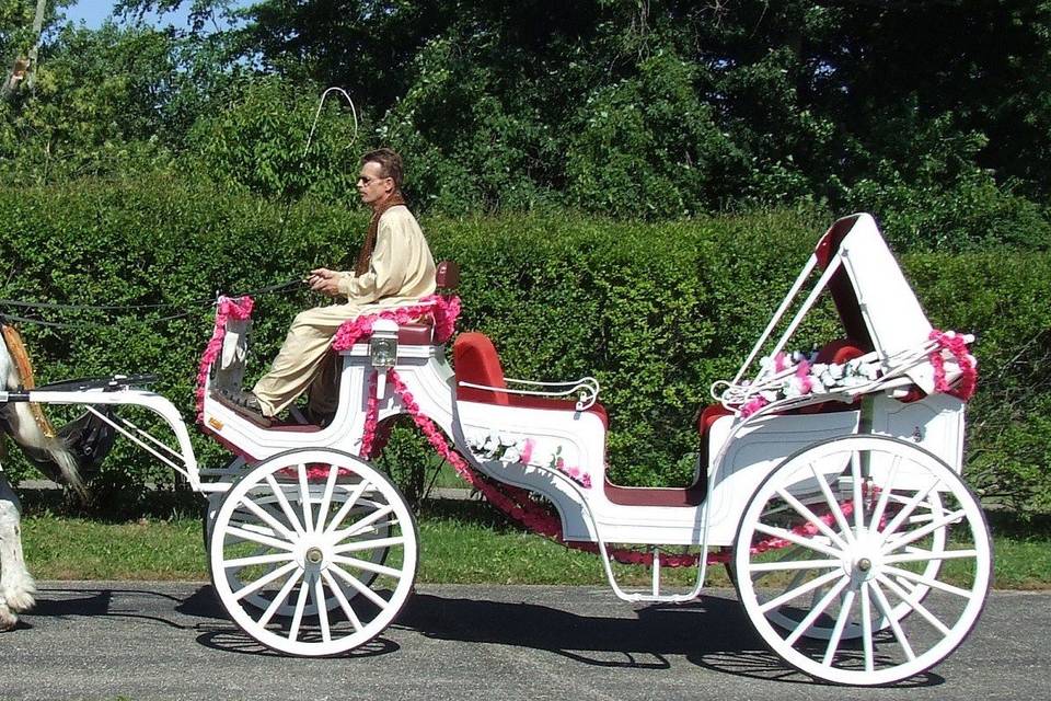 Indian wedding with carriage