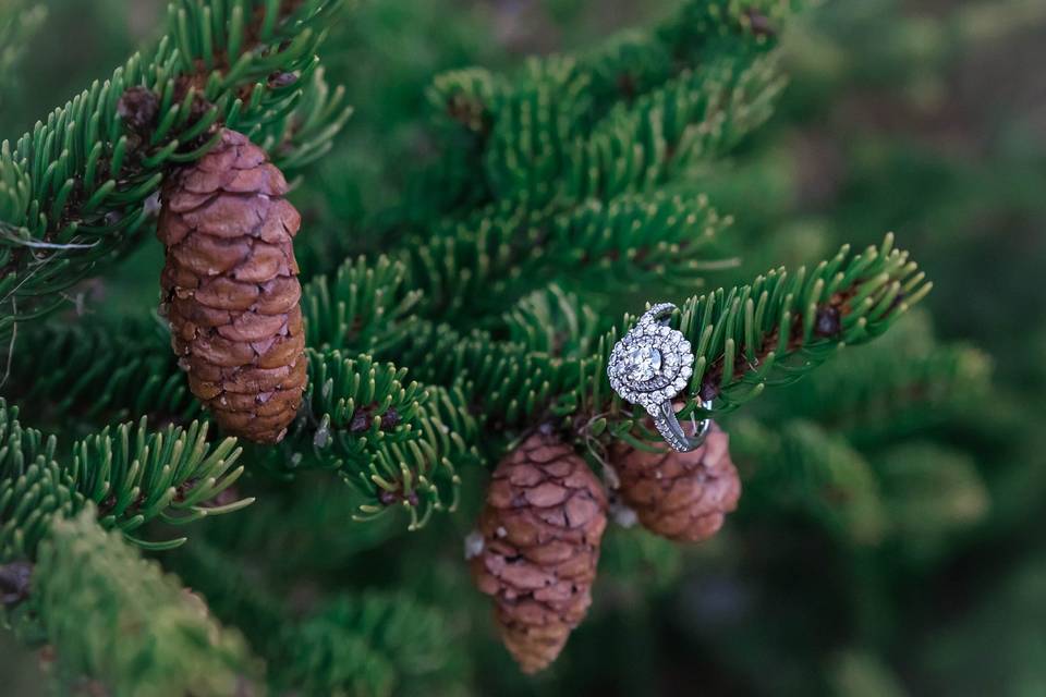 Pine and diamonds