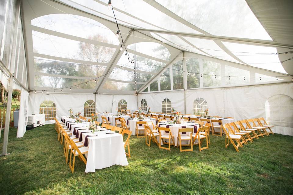 Tent: Purdon's Rentals