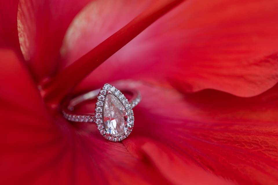 Engagement ring on a flower