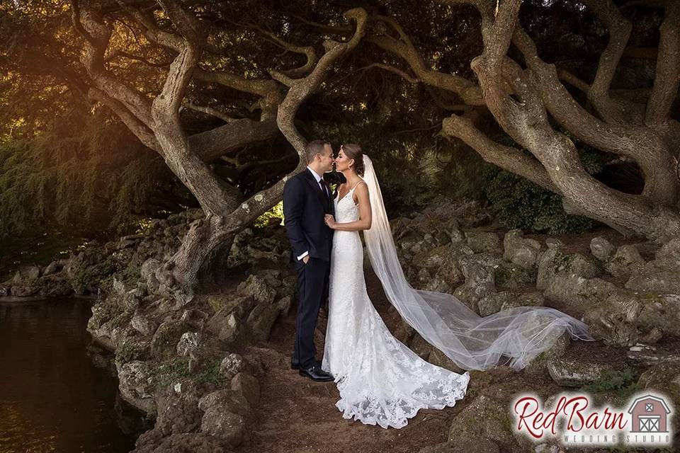 Bride and Groom