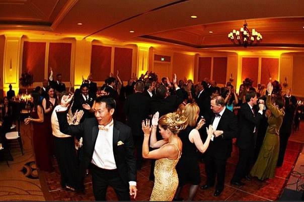 Party crowd
