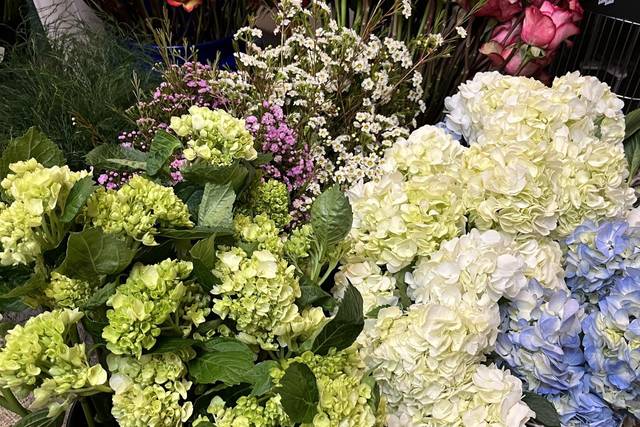 Pretty color palatte