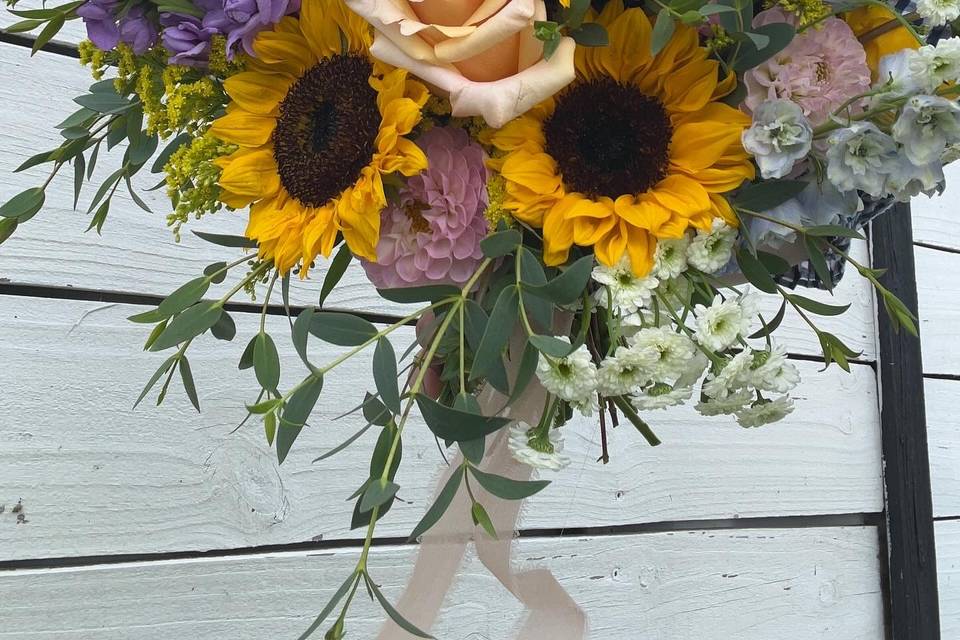 Sunflower focus