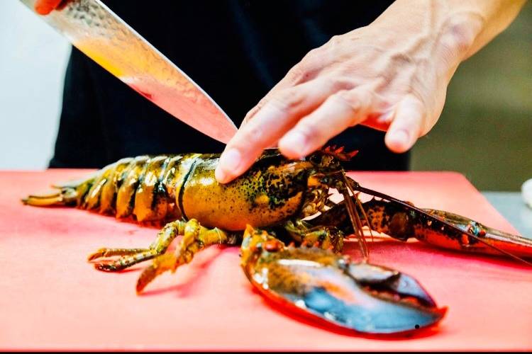 Fresh seafood