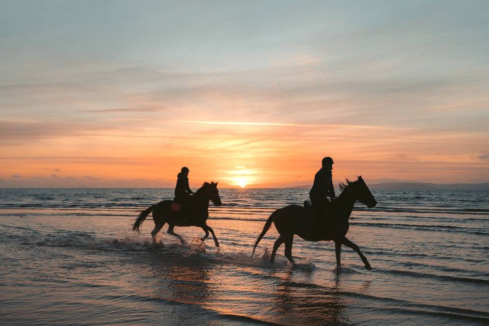 Honeymoon fun