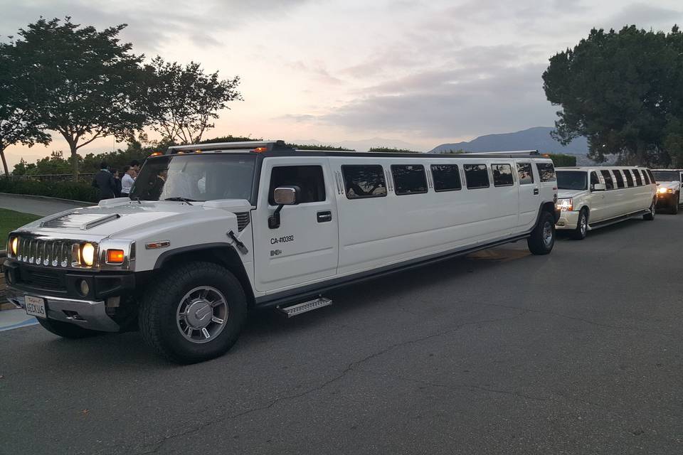 Byrd limousine service