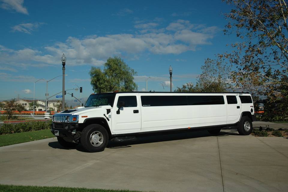 BYRD LIMOUSINE SERVICE