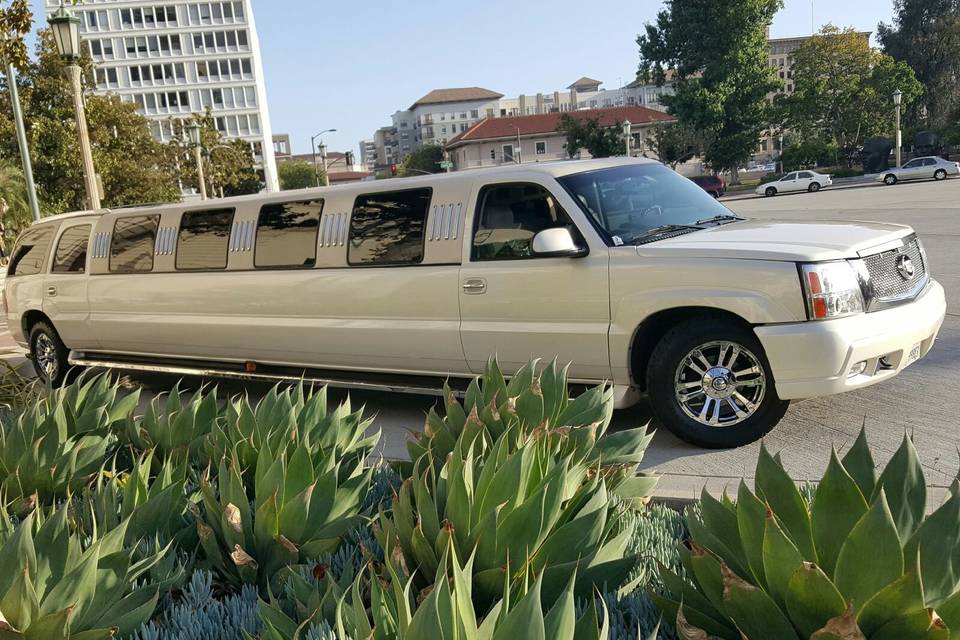 Byrd limousine service