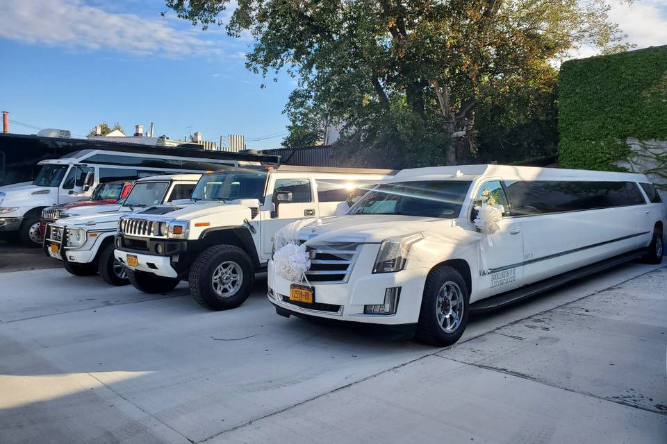 Limousine fleet