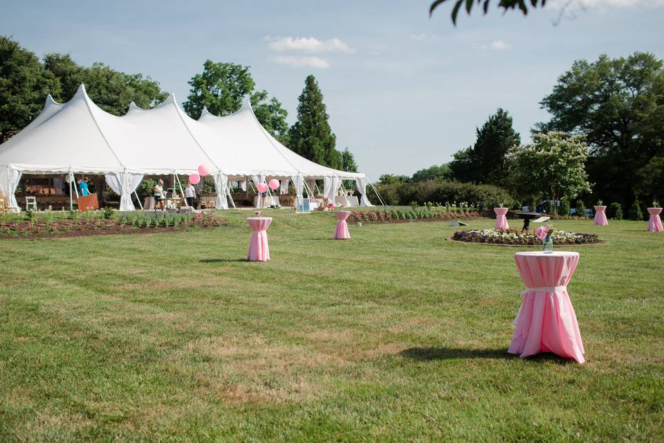 Outdoor wedding reception