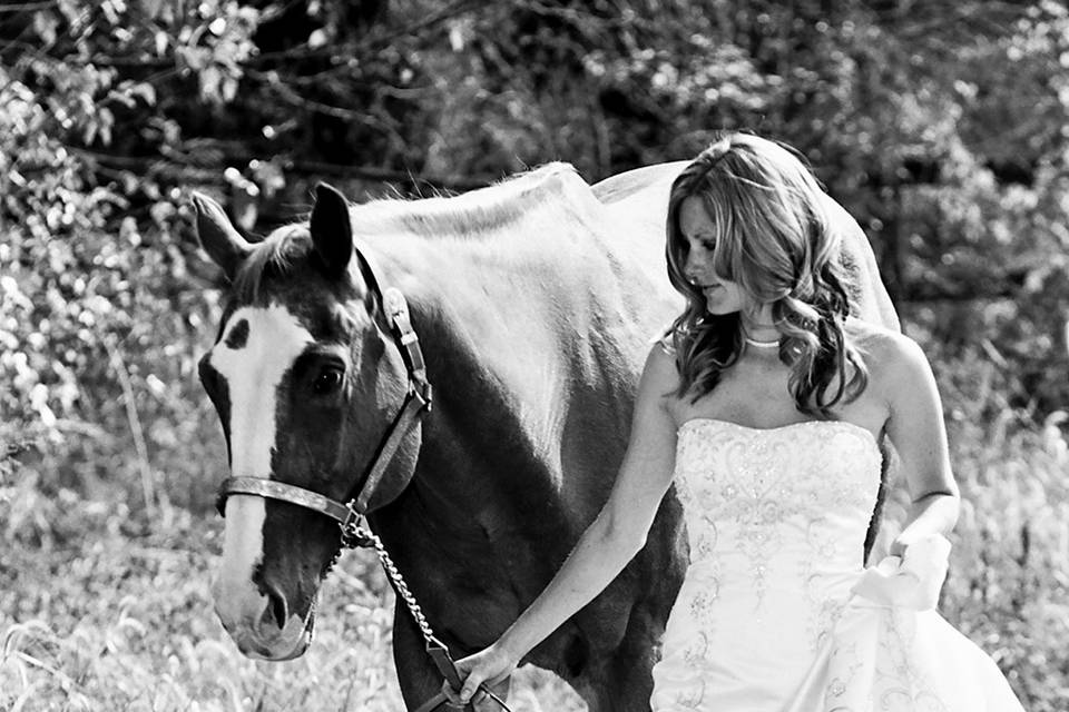 Giraffe Wedding Photo at Zoo