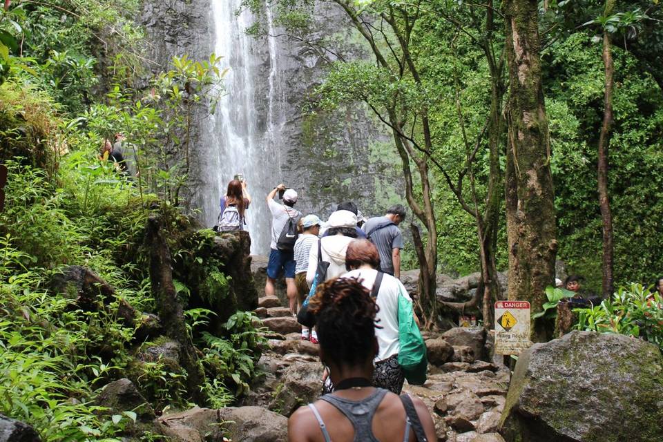 Manoa Falls adventure