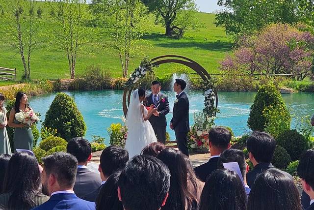 Lilo Weddings