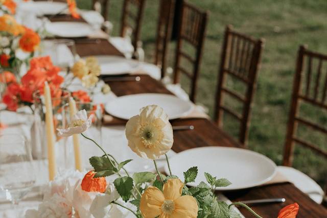 Alisha Tova Photography