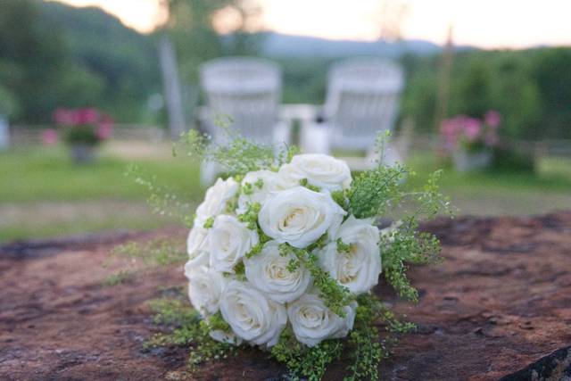 Jaclyn Fritz Photography