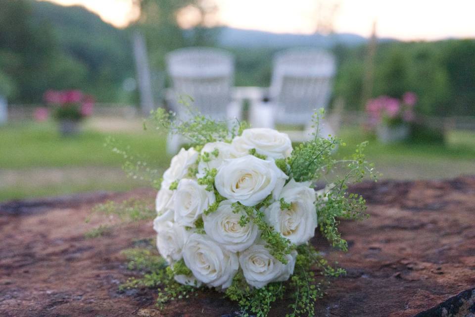 Jaclyn Fritz Photography