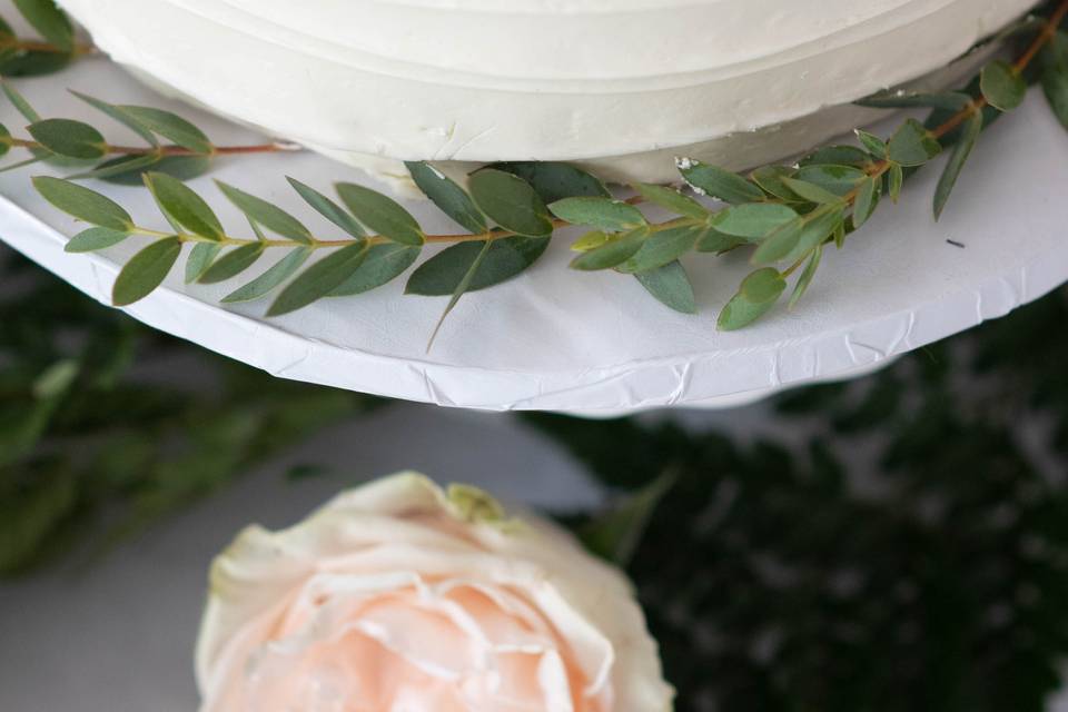 Jaclyn Fritz Photography