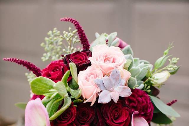 Red and pink display