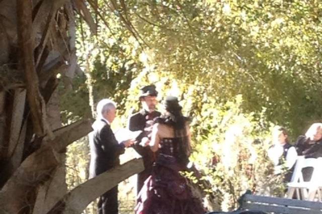 A Wedding With Rev Schulte.
https://www.facebook.com/AWeddingWithRevSchulte
Steampunk Themed Wedding