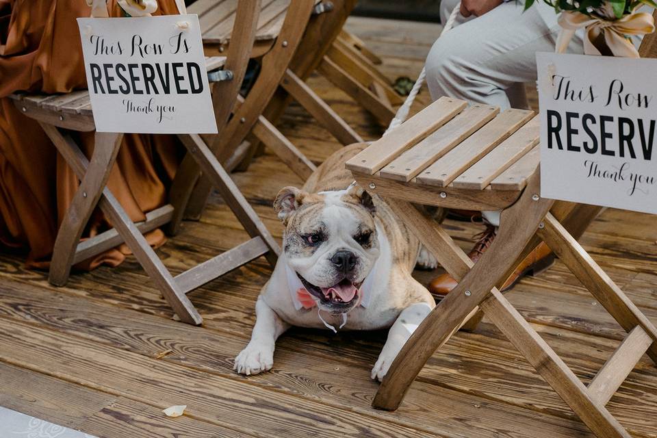 Reserved Seating