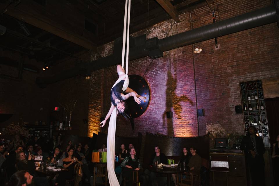 Aerialist