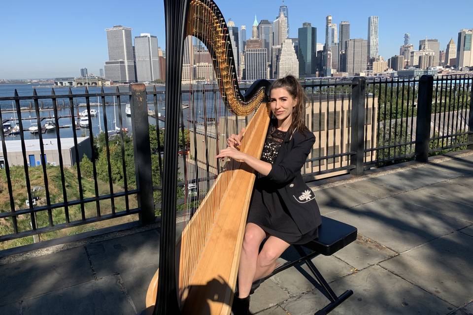 Wedding at Battery Park