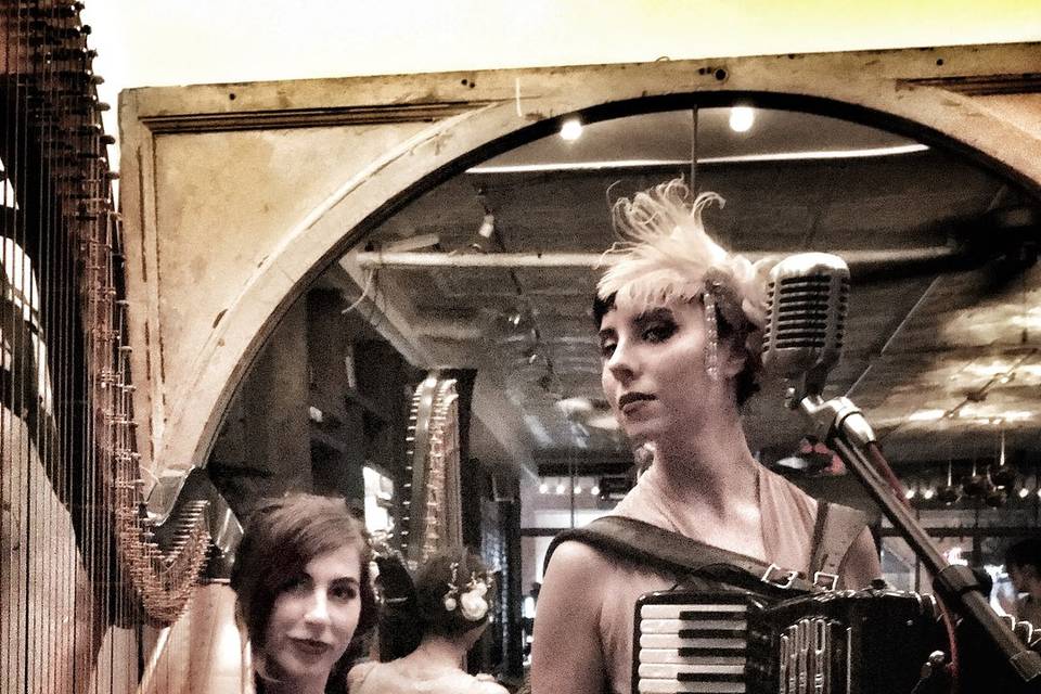 Harp and accordion duo